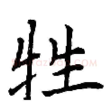牲硬笔楷书写法,摘自曾庆福硬笔书法字帖