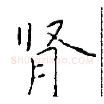 肾硬笔楷书写法,摘自于学仁硬笔书法字帖
