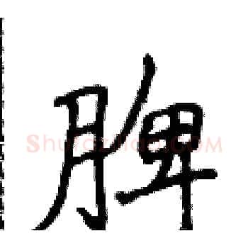 脾硬笔楷书写法,摘自侯登峰硬笔书法字帖