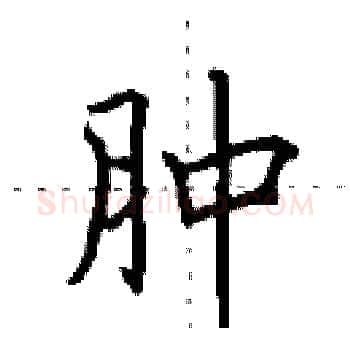肿硬笔楷书写法,摘自田英章硬笔书法字帖