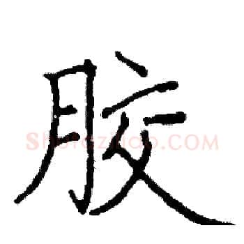 胶硬笔楷书写法,摘自阎锐敏硬笔书法字帖