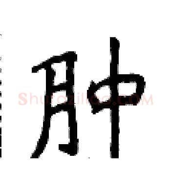 肿硬笔楷书写法,摘自侯登峰硬笔书法字帖