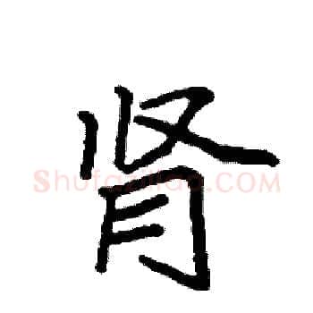 肾硬笔楷书写法,摘自袁强硬笔书法字帖