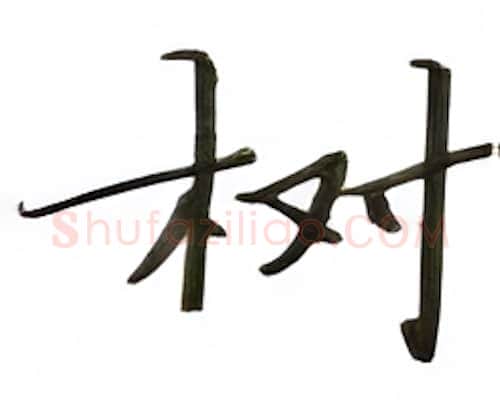 树硬笔楷书写法,摘自张秀硬笔书法字帖