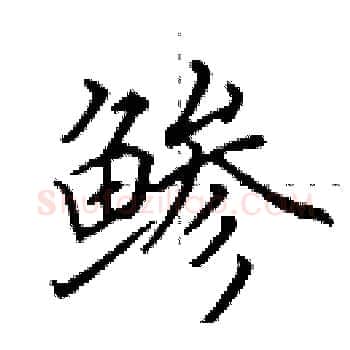鲹硬笔楷书写法,摘自田英章硬笔书法字帖