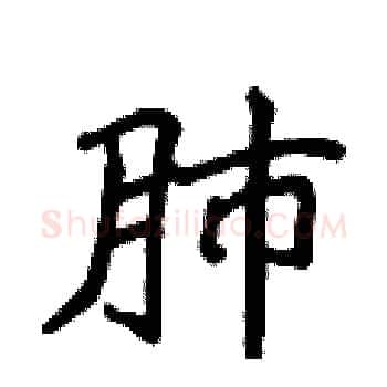 肺硬笔楷书写法,摘自侯登峰硬笔书法字帖