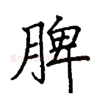 脾硬笔楷书写法,摘自阎锐敏硬笔书法字帖