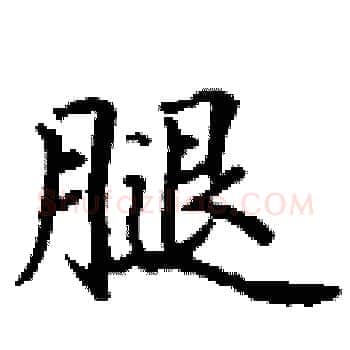 腿硬笔楷书写法,摘自丁谦硬笔书法字帖
