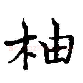 柚硬笔楷书写法,摘自周炳元硬笔书法字帖