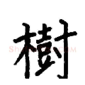 樹硬笔楷书写法,摘自何伯昌硬笔书法字帖