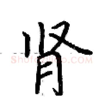 肾硬笔楷书写法,摘自荆霄鹏硬笔书法字帖
