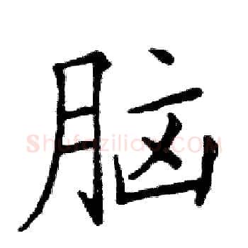 脑硬笔楷书写法,摘自邓散木硬笔书法字帖