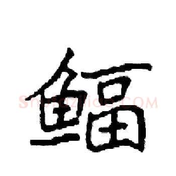 鲾硬笔楷书写法,摘自袁强硬笔书法字帖