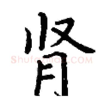 肾硬笔楷书写法,摘自丁谦硬笔书法字帖