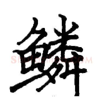 鳞硬笔楷书写法,摘自骆恒光硬笔书法字帖