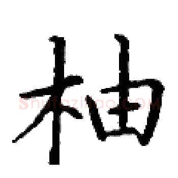 柚硬笔楷书写法,摘自丁谦硬笔书法字帖