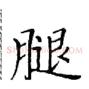 腿