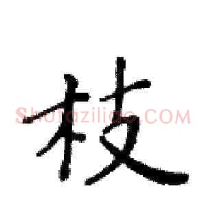 枝