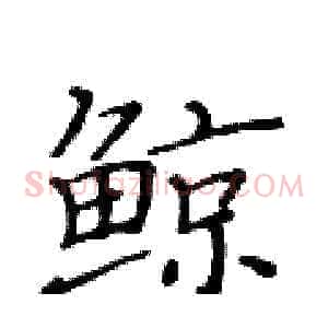鲸