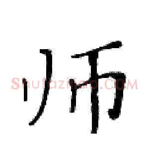 师