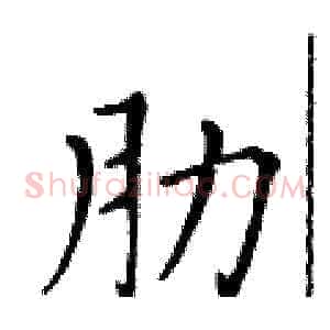 肋