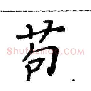 苞