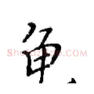 龟