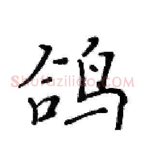 鸽