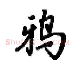 鸦