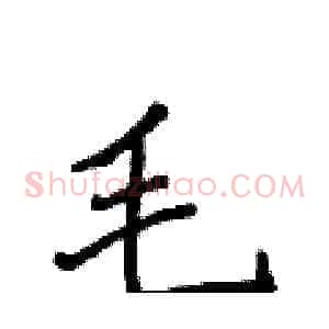 毛