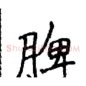 脾