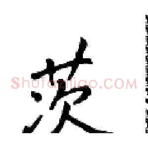 茨