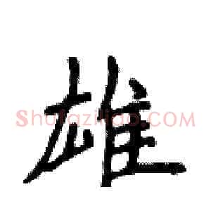雄
