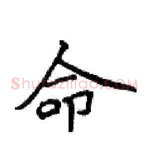 命
