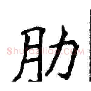 肋