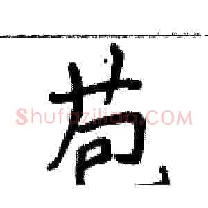 苞
