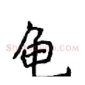 龟