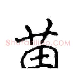 苗