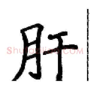 肝