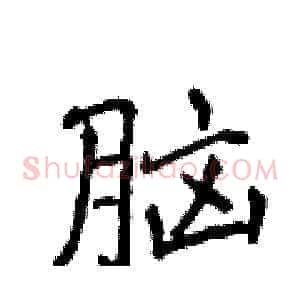 脑