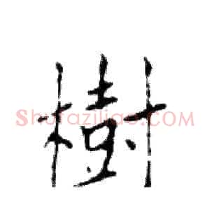 樹