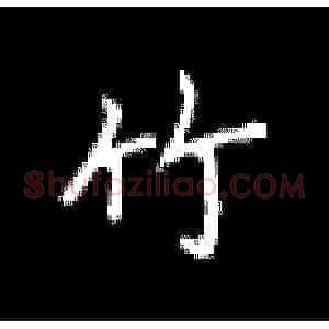 竹