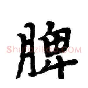 脾