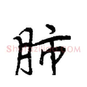 肺
