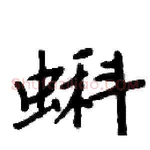 蝌