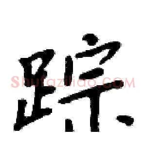 踪