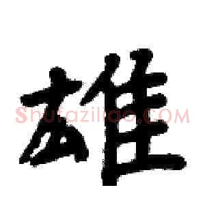 雄