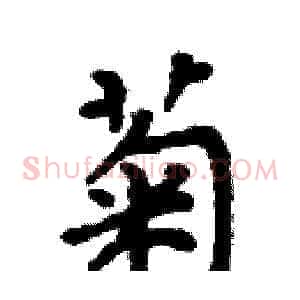 菊