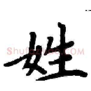 姓