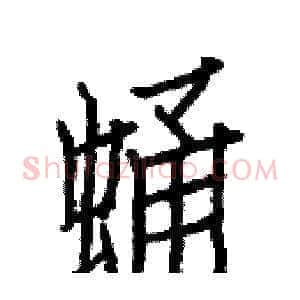 蛹